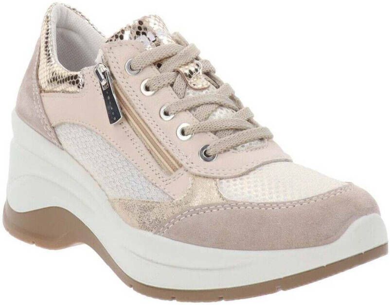 IGI&Co Sneakers IgI&CO IG-5655711