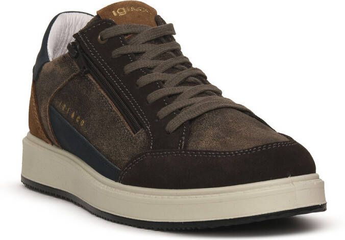 IGI&Co Sneakers IgI&CO SANTIAGO MARRONE