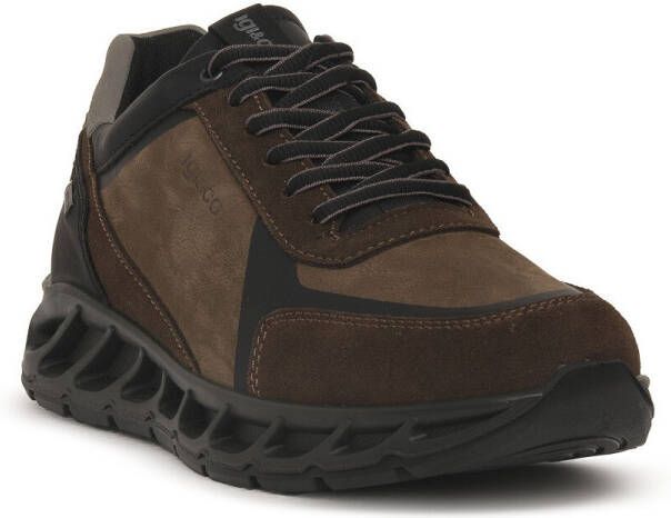 IGI&Co Sneakers IgI&CO SANTOS GTX