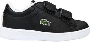 Lacoste Sneakers Carnaby Evo Strap