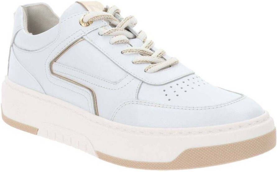 NeroGiardini Sneakers E409993D