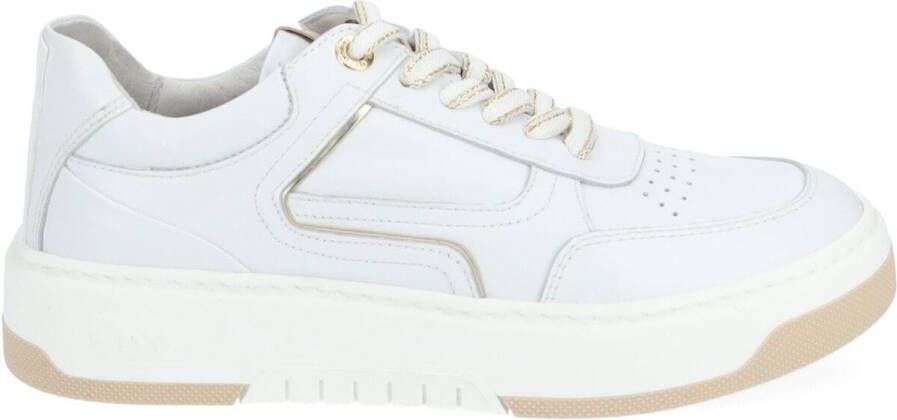 NeroGiardini Lage Sneakers Sneaker