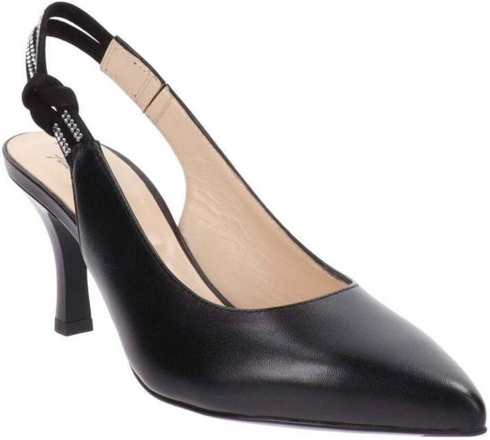 NeroGiardini Pumps E218341DE