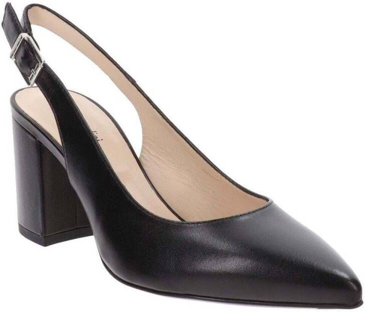 NeroGiardini Pumps E409431D