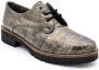 Pitillos Elegante Damesschoenen Gray Dames - Thumbnail 2