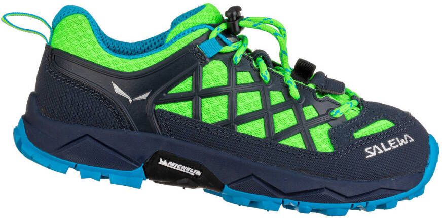 Salewa Kid's Wildfire Multisportschoenen blauw