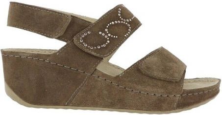 Scholl Sandalen ABERDEEN WEDGE