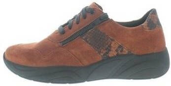 Solidus Sneakers Hills H