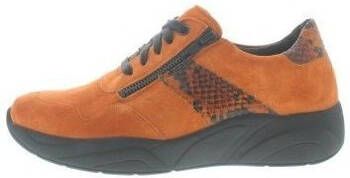 Solidus Sneakers Hills H