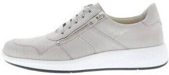 Solidus Sneakers Halea F