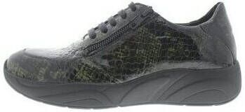 Solidus Sneakers Hills H