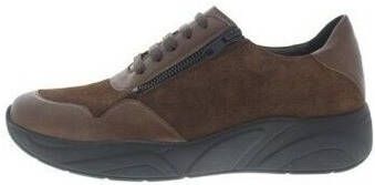 Solidus Sneakers Hills H