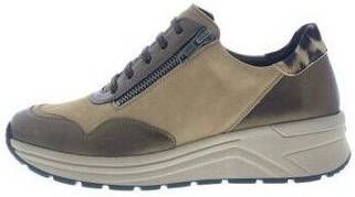 Solidus Sneakers Holly H