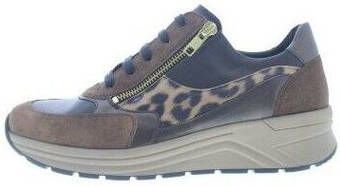 Solidus Sneakers Holly H