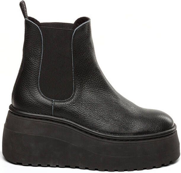 Steve Madden Enkellaarzen Bottines femme Pegasus