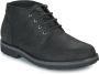 Timberland Alden Brook Chukka Laarzen Black Heren - Thumbnail 2