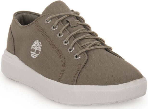 Timberland Sneakers SENECA BAY