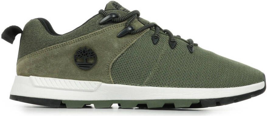 Timberland Sneakers Sprint Trekker Low Lace Up