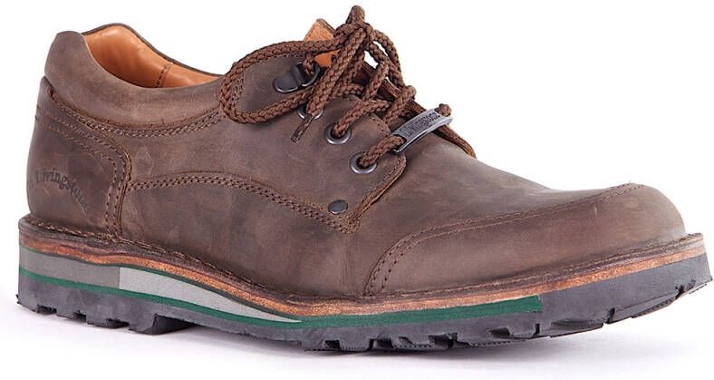 Livingstone 4896 wijdte H1 2 Veterschoenen