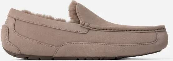 Ugg Ascot-pantoffel voor heren in Brown