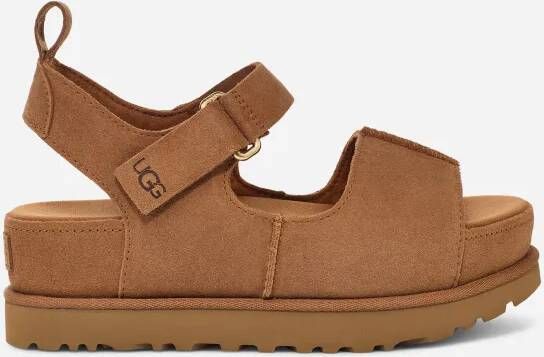 Ugg Goldenstar Hi in Brown