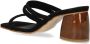 ALOHAS Zwarte leren sandalen van Indiana Black Dames - Thumbnail 2