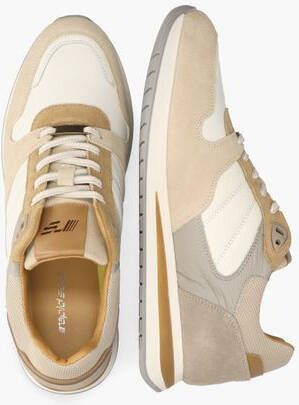 Cypres Wolf Beige Multicolor