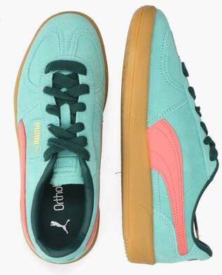 Puma Palermo 396463-52