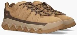 Ugg Captrail Low Chestnut