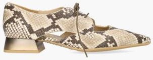 Hispanitas HV253858 Beige Bruin