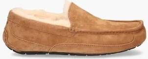 UGG Ascot Chestnut Herenpantoffels