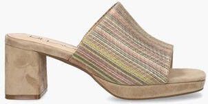 Vivian ray Toria Beige Multicolor