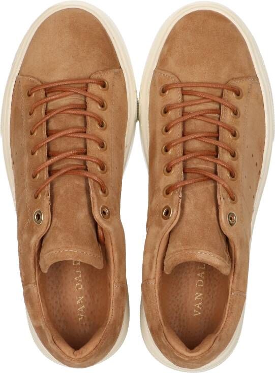 Van Dalen ALEX LEATHER SNEAKER