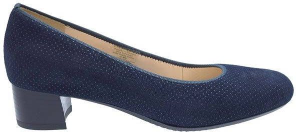 Ara 1216601 blauw