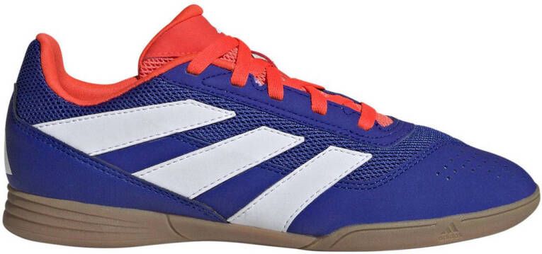 Adidas Perfor ce Predator Club IN zaalvoetbalschoenen kobaltblauw wit rood Mesh 38 2 3