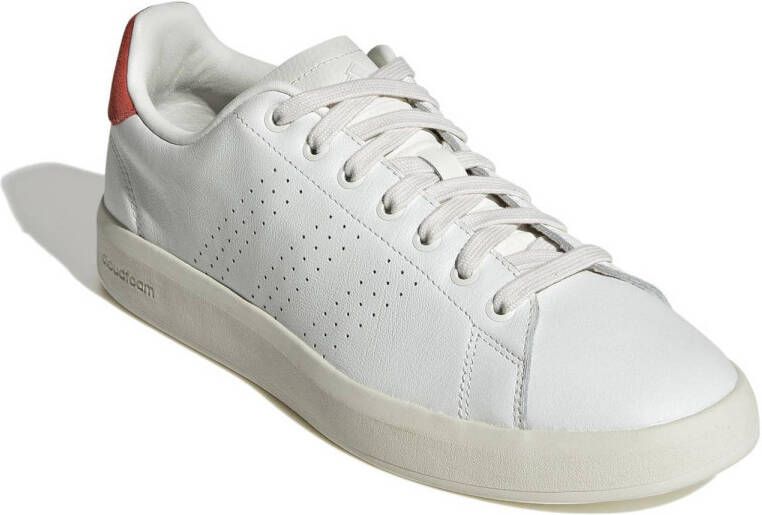 adidas Sportswear Advantage Premium sneakers wit rood