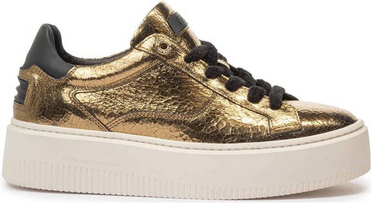 Floris van Bommel SFW-10116 Sneaker Mouri 01.02 Gold G