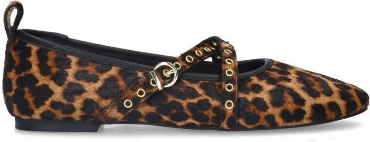 Sacha Dames Leopard ballerina's met studs