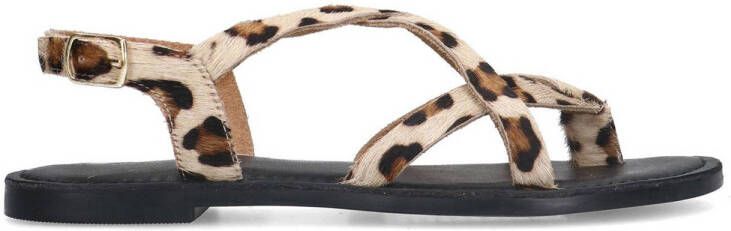 Sacha Dames Leren sandalen met luipaardprint