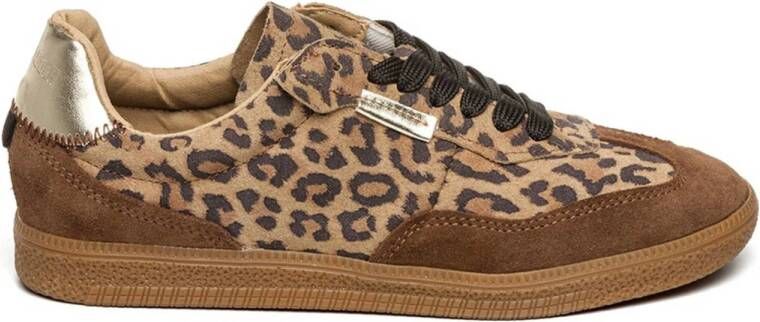 Steve Madden Emporia suède sneakers met panterprint beige bruin