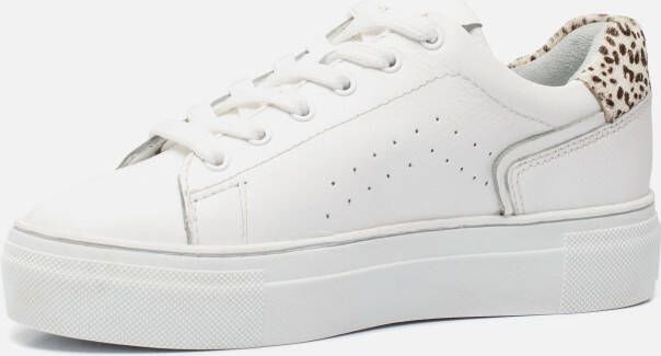Cellini Sneakers wit Synthetisch Dames