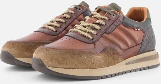 Ambitious Temple Sneakers cognac Leer