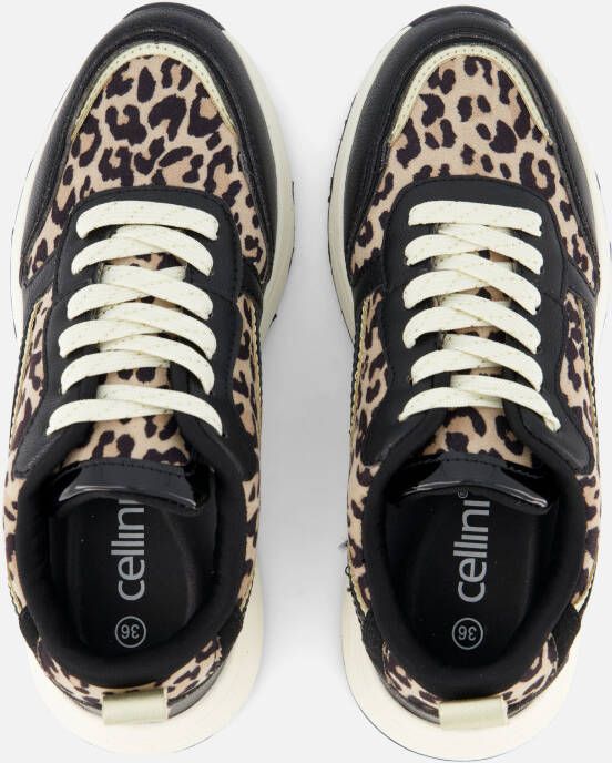 Cellini Cellnini Leopard Sneakers zwart Textiel