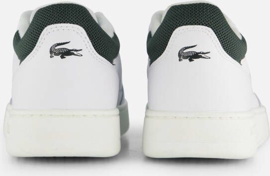 Lacoste Lineset