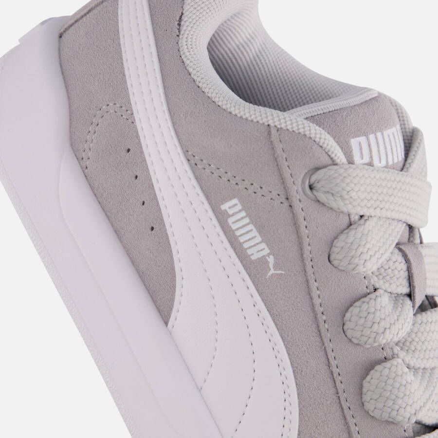 Puma Park Lifestyle Easy Sneakers grijs Suede