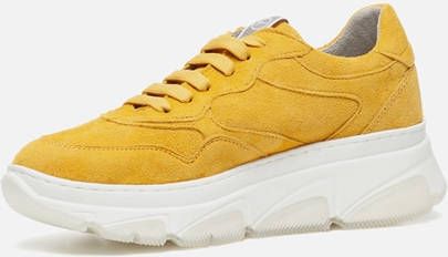 Vans Ward Deluxe Sneakers beige Canvas Dames - Foto 1