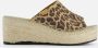 Toni Pons Ivori Leopard Espadrilles bruin Leer Dames - Thumbnail 6