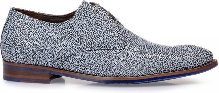 Floris van Bommel de stapper 06.09 SFM-30149 -40-01 Blauw